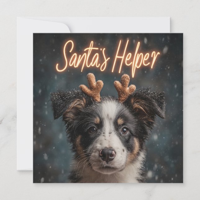 Adorable Border Collie Puppy as Santa's Helper Holiday Card (Front)