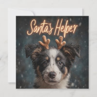 Adorable Border Collie Puppy as Santa's Helper