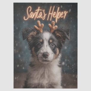 Adorable Border Collie Puppy as Santa's Helper Tissue Paper