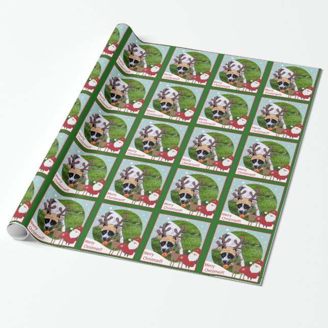 Adorable Border Collie Reindeer Christmas wrapping Paper (Unrolled)