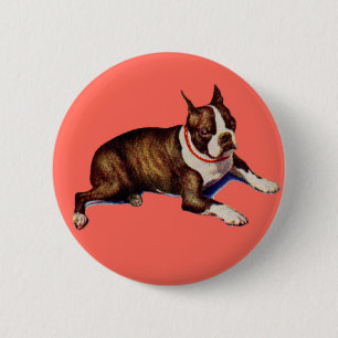 adorable Boston terrier 2 Inch Round Button