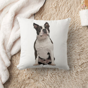 Adorable Boston Terrier Black White Puppy Dog  Throw Pillow