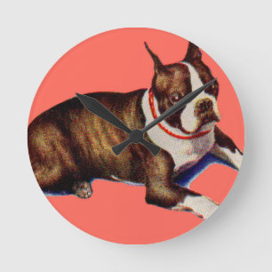 adorable Boston terrier Round Clock