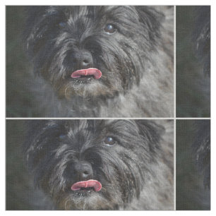 Adorable Cairn Terrier Fabric