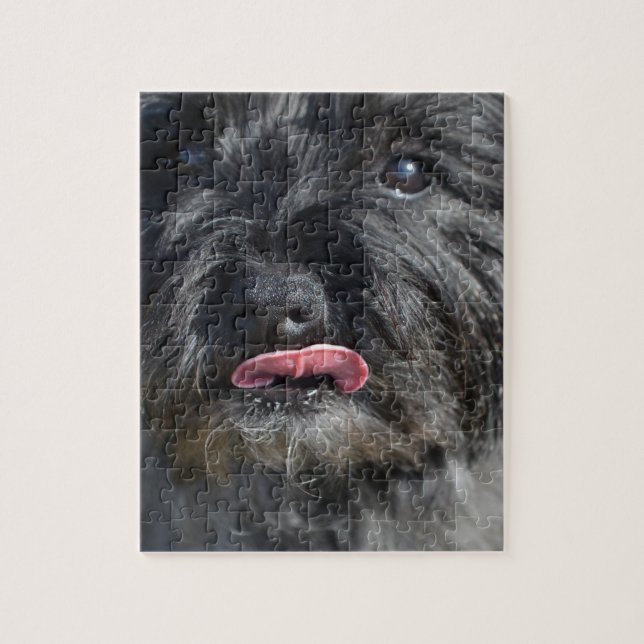 Adorable Cairn Terrier Jigsaw Puzzle (Vertical)