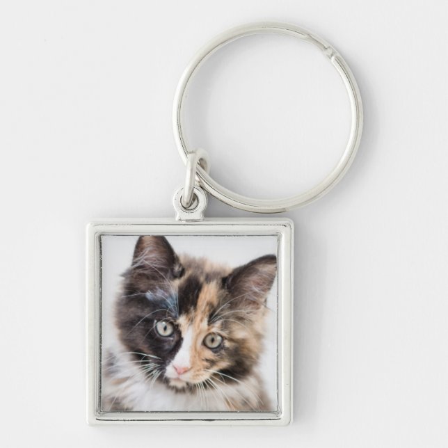 Adorable Calico Kitten Keychain (Front)