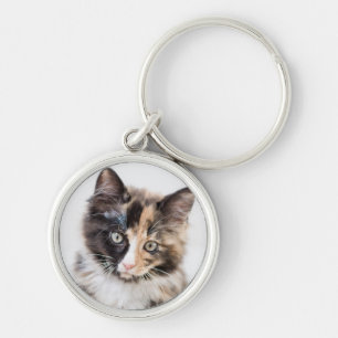 Adorable Calico Kitten Keychain