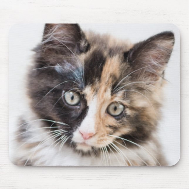 Adorable Calico Kitten Mouse Pad (Front)
