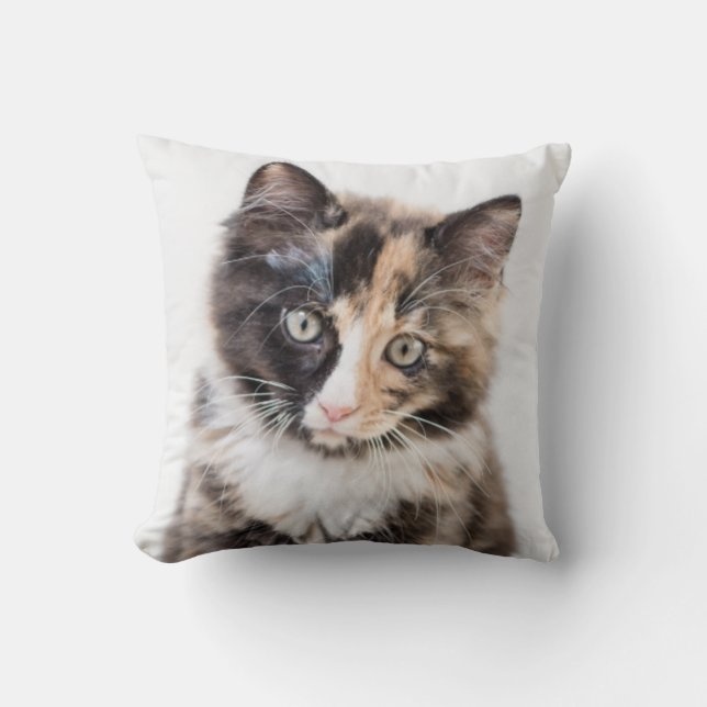 Adorable Calico Kitten Throw Pillow (Front)
