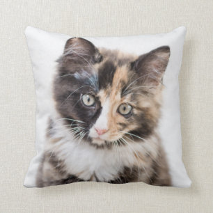 Adorable Calico Kitten Throw Pillow