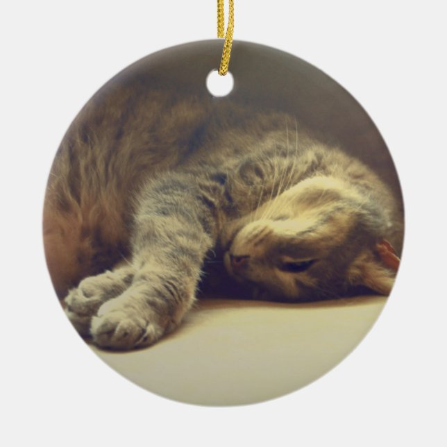 Adorable Cat Ceramic Ornament (Front)