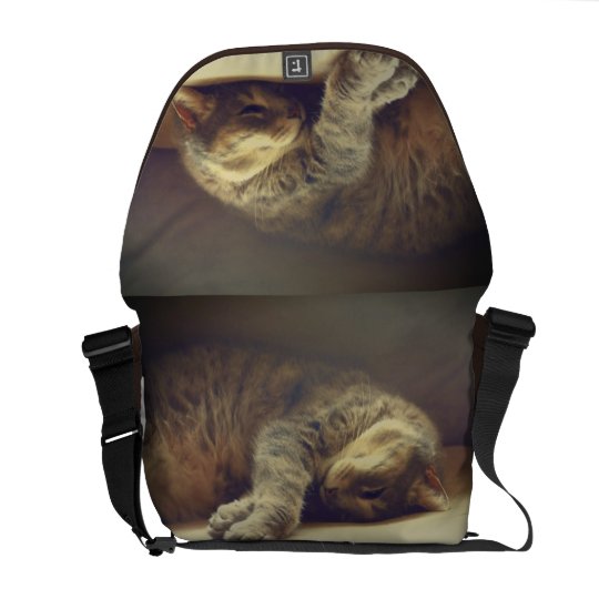 Adorable Cat Commuter Bags