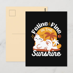 Adorable Cat Relaxing in the Sunshine – Summer Pet Postcard