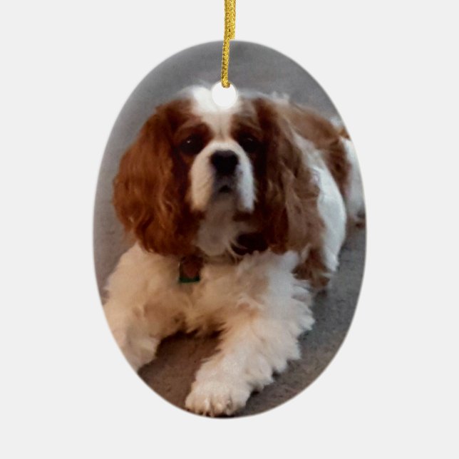 Adorable Cavalier King Charles Spaniel Ceramic Ornament (Front)