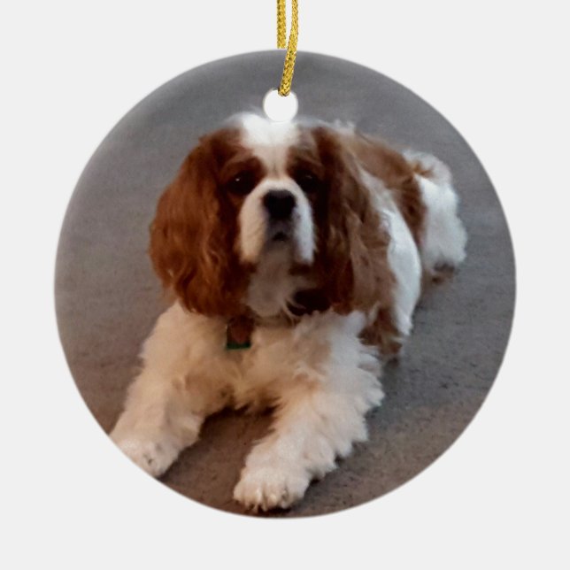 Adorable Cavalier King Charles Spaniel Ceramic Ornament (Front)