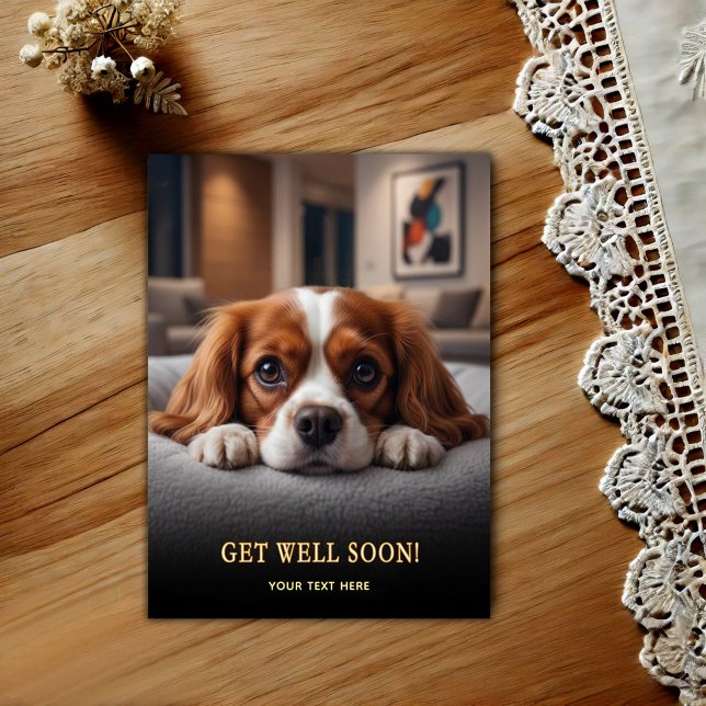 Adorable Cavalier King Charles Spaniel Get Well  Postcard (Creator Uploaded)