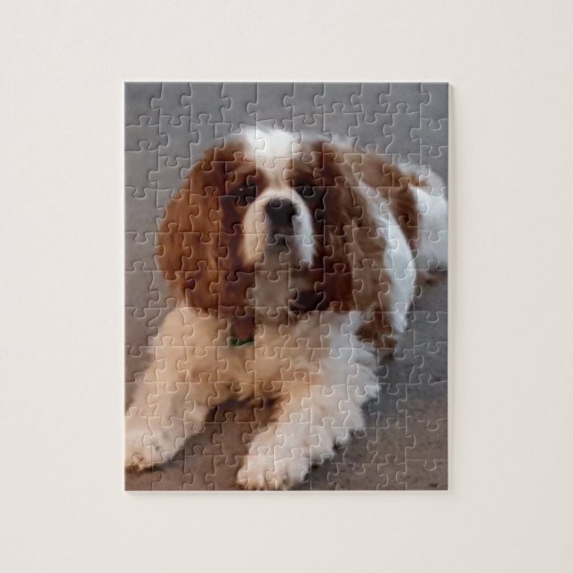 Adorable Cavalier King Charles Spaniel Jigsaw Puzzle (Vertical)