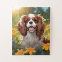 Adorable Cavalier King Charles Spaniel