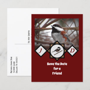 Adorable Chestnut Backed Chickadee Monogram Photo Invitation Postcard