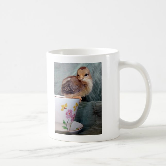 Adorable Chick On a Cup (Right)