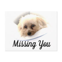 Adorable Chien Vous Manquant Carte Postale