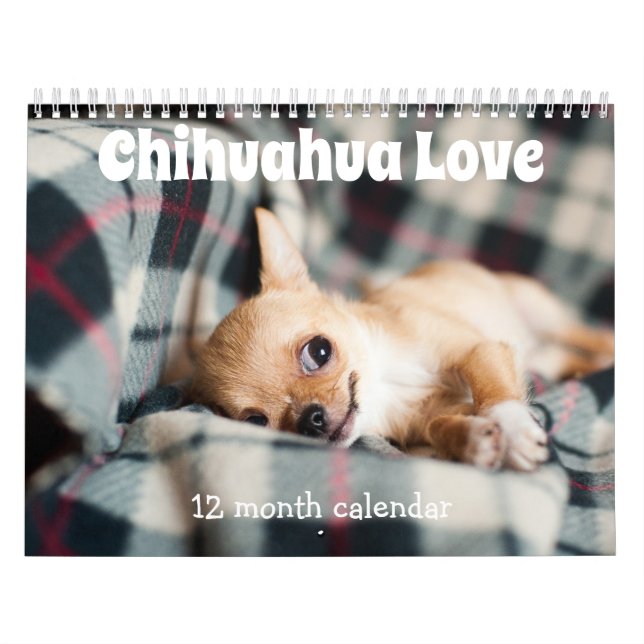 Adorable Chihuahua Dogs 2026 Calendar (Cover)