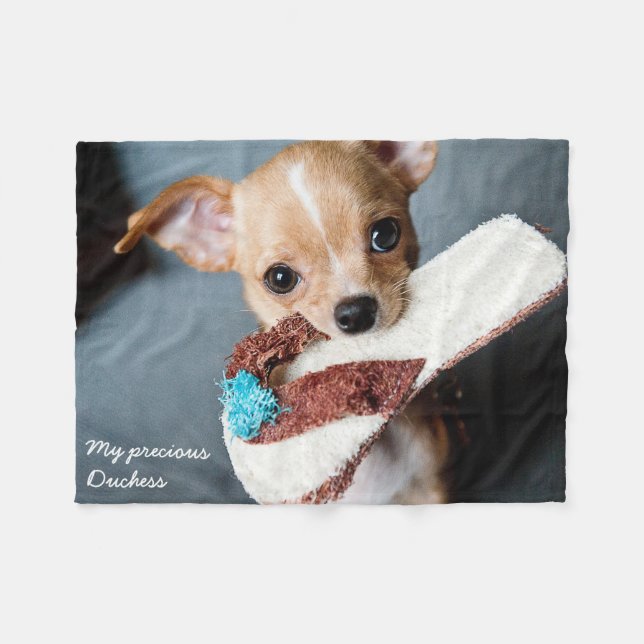 Adorable Chihuahua Fleece Blanket (Front (Horizontal))