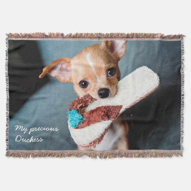 Adorable Chihuahua Photo Throw Blanket (Front)