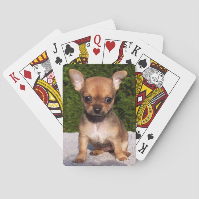 Adorable Chihuahua Puppy Dog Playing Cards (Back)