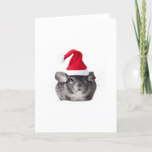 Adorable Chinchilla Santa Model Holiday Card