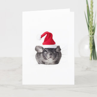 Adorable Chinchilla Santa Model Holiday Card