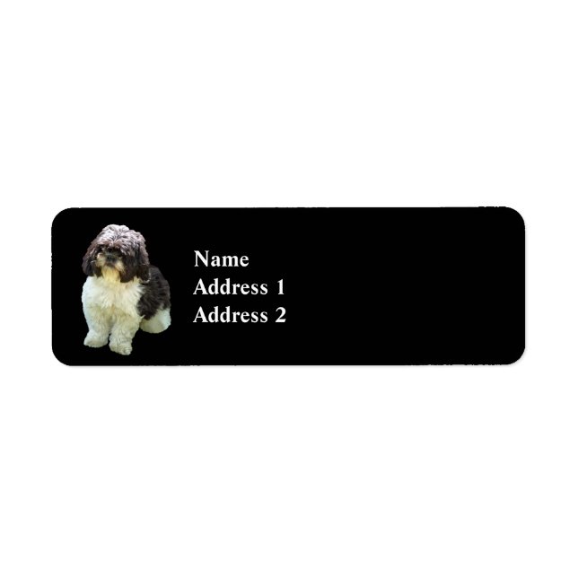 Adorable chiot Shih Tzu (Devant)