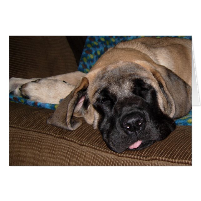 Adorable chiot surdimensionné (Devant horizontal)