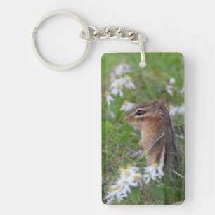 Adorable Chipmunk en fleurs