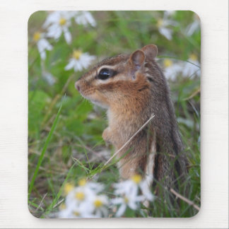 Adorable Chipmunk in flowers Mouse Pad