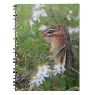 Adorable Chipmunk in flowers   Notebook
