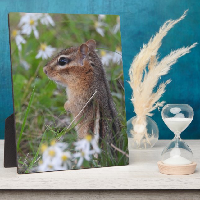 Adorable Chipmunk in flowers   Plaque (Side)
