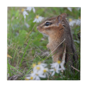 Adorable Chipmunk in flowers Tile