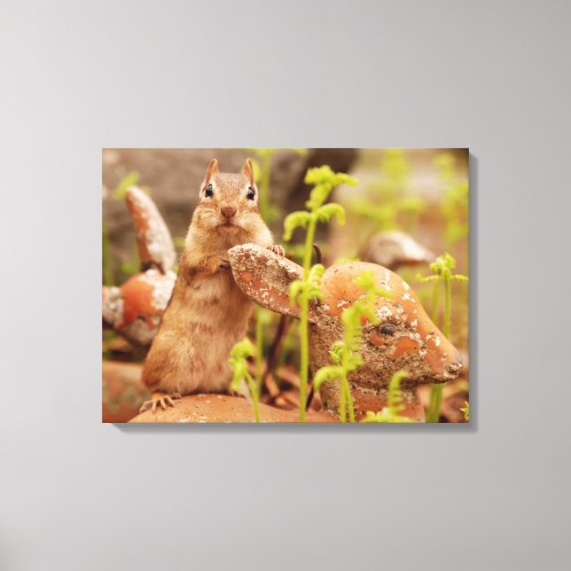 Adorable Chipmunk on Statue Wrapped Canvas (Front)