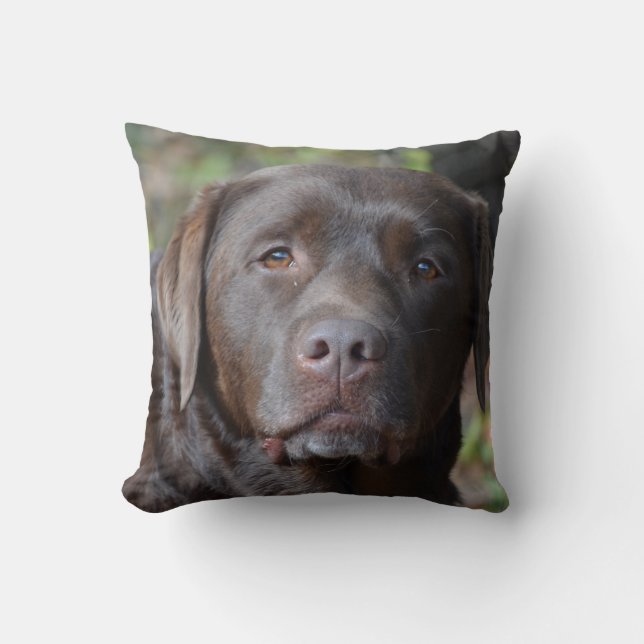 Adorable Chocolate Labrador Retriever Throw Pillow (Front)