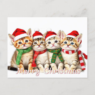 Adorable Christmas Cats Pet Lover Postcard