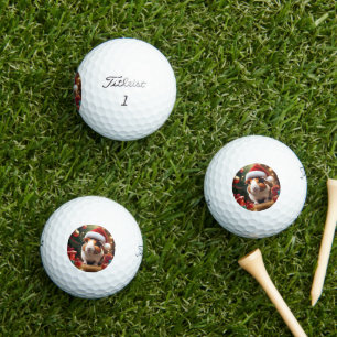 Adorable Christmas Guinea Pig, Golf Balls