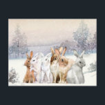 Adorable Christmas/Holiday Postcard<br><div class="desc">Winter Rabbits Postcard</div>