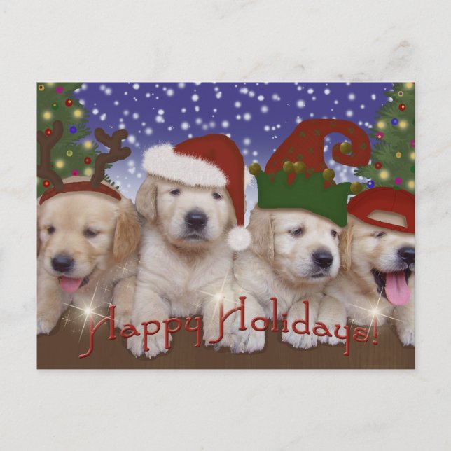Adorable Christmas Labrador Puppies! Holiday Postcard (Front)