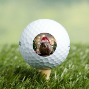Adorable Christmas Wombat, Golf Balls