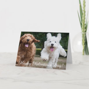 Adorable Cockapo Chipies Carte de jour Valentine