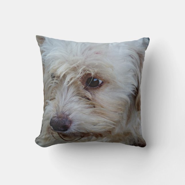 Adorable Cockapoo Puppy Mojo throw pillow (Front)