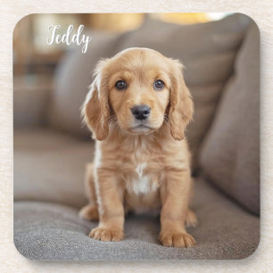 Adorable Cocker Spaniel Personalized Coaster Set