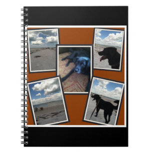 adorable collage of photos of beach and dog notebook