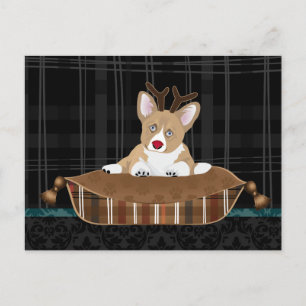 Adorable Corgi Puppies Postcard